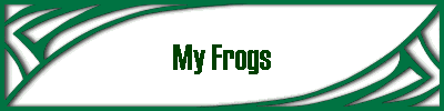 My Frogs