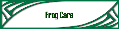 Frog Care
