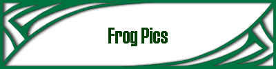 Frog Pics