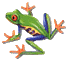 animated-frog-3.gif (6810 bytes)
