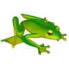 flyingfrog.JPG (53195 bytes)
